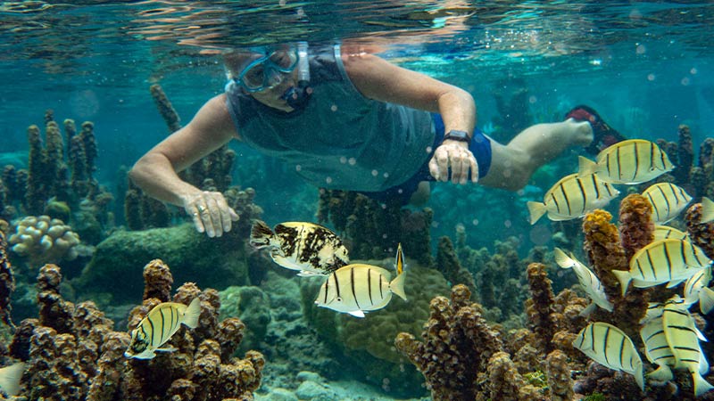 A travelller snorkeling with tropical fish in the coral reefs of Makatea.