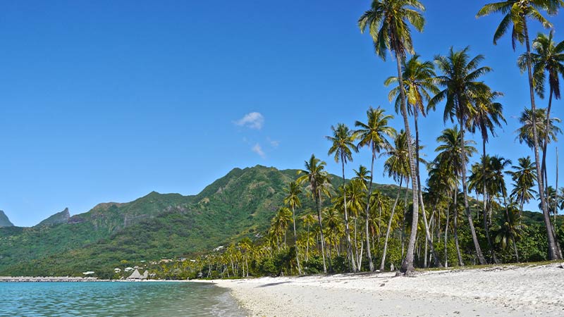Tamae Beach on Moorea with its white sand and lush palm trees.