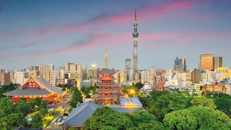 The varied skyline of Tokyo with a view of buildings, temples & shrines, and the Tokyo Skytree under a setting sky.