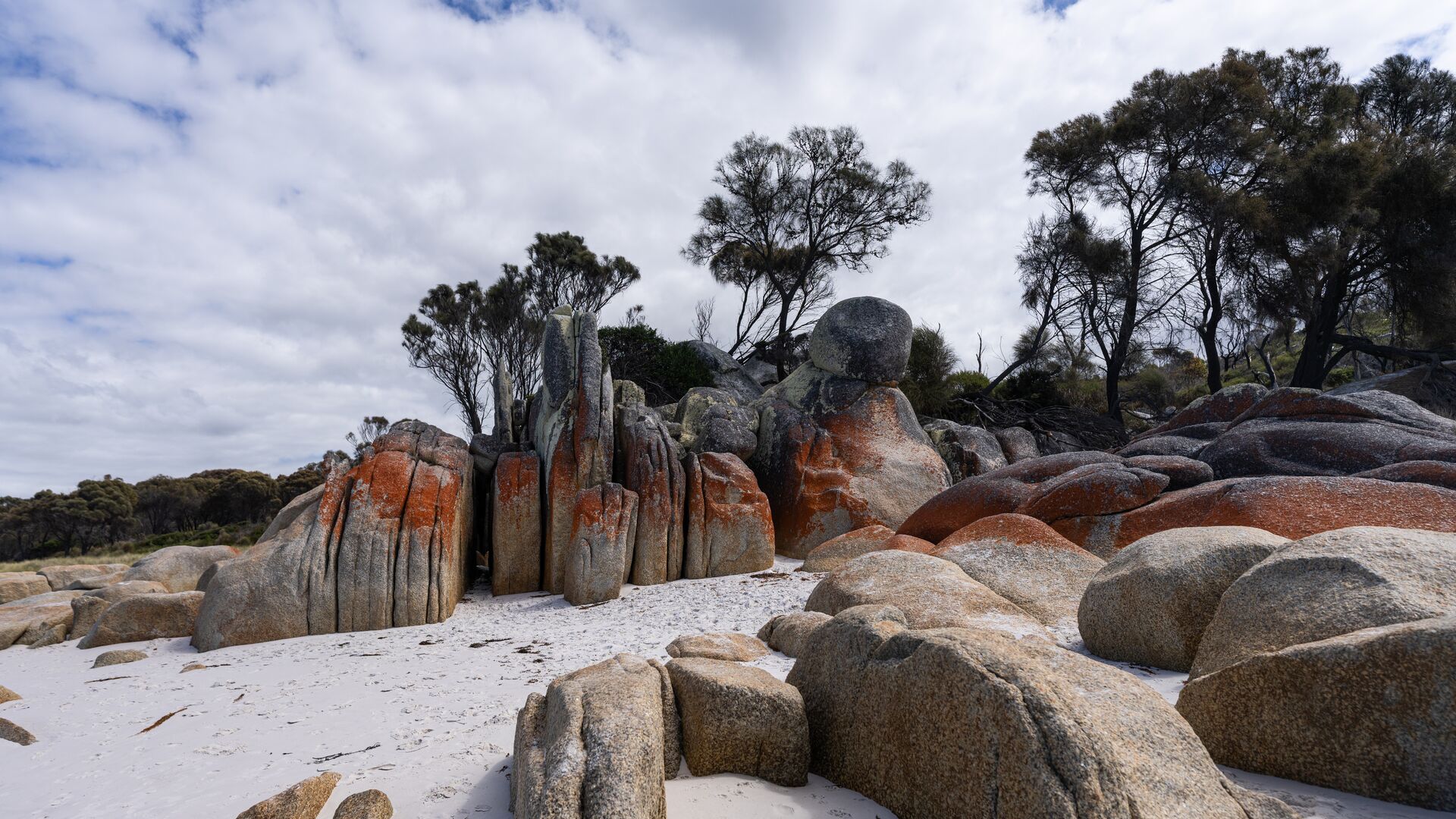 The orange-lichen covered rocks of the Bay of Fires area.
