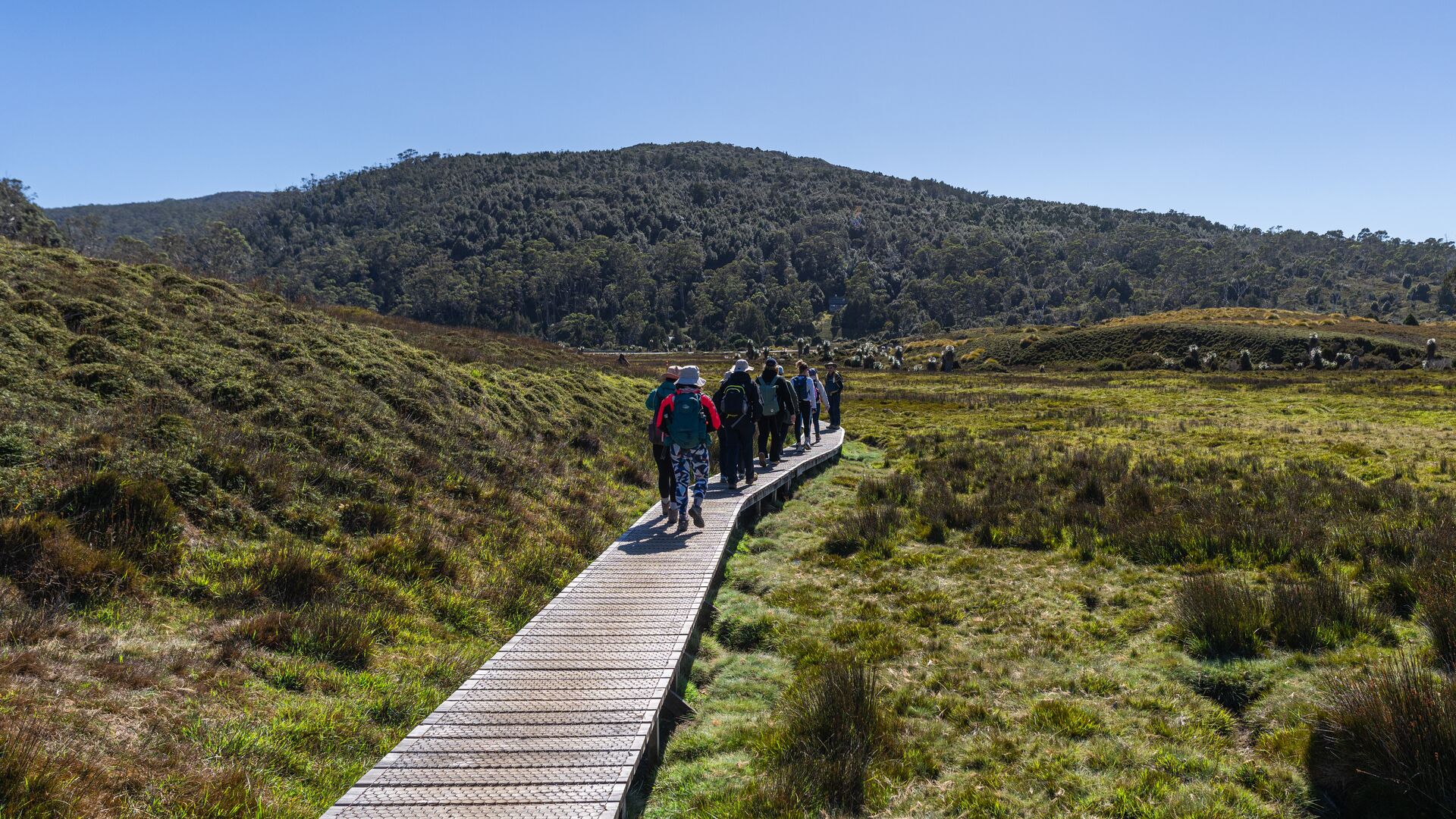 A group of hikers walk along a boardwalk across grassland in Tasmania.