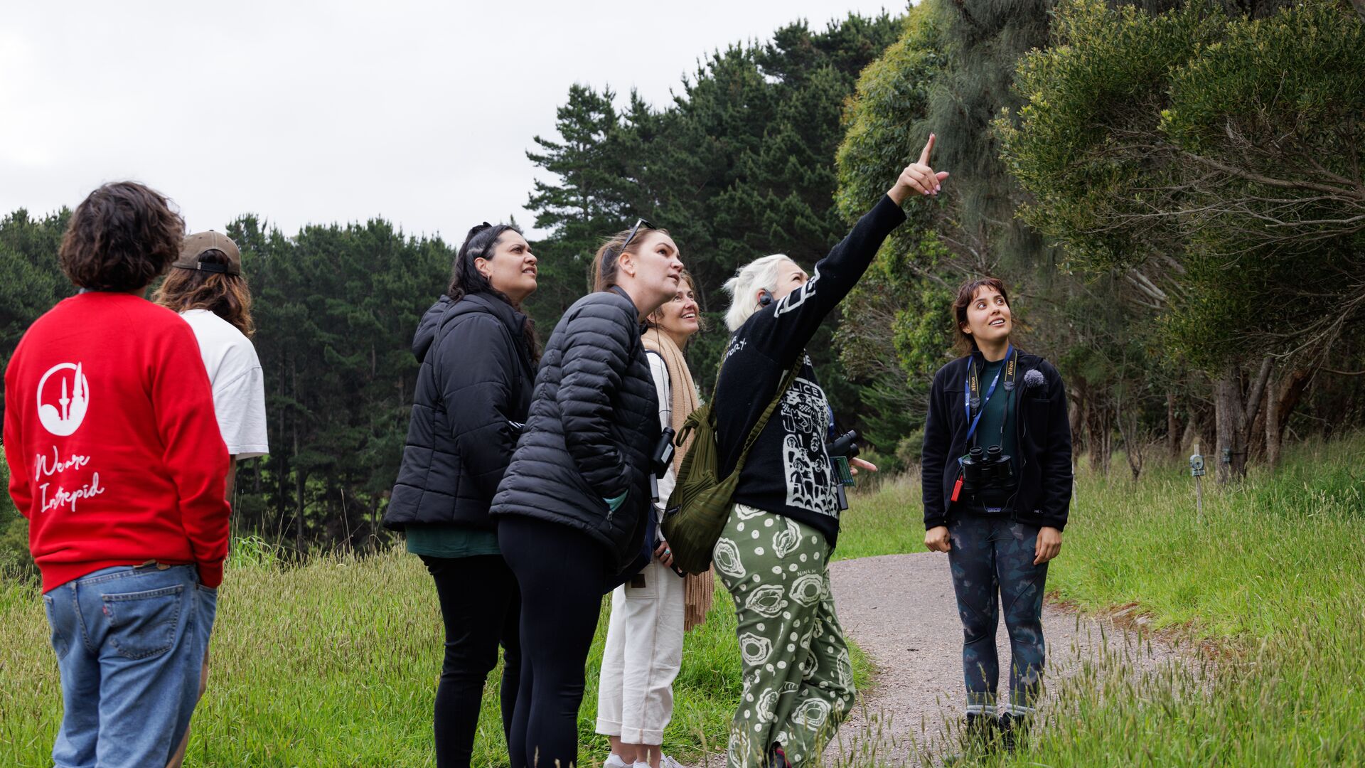 A group of people point out at an animal in the trees while accompanied by an Intrepid leader