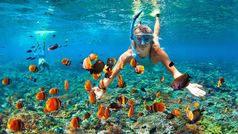 Woman snorkelling with tropical fish in New Caledonia. 