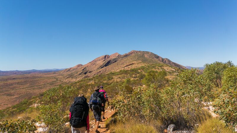 A few travellers hiking in single file along the Larapinta Trail under a blue sky