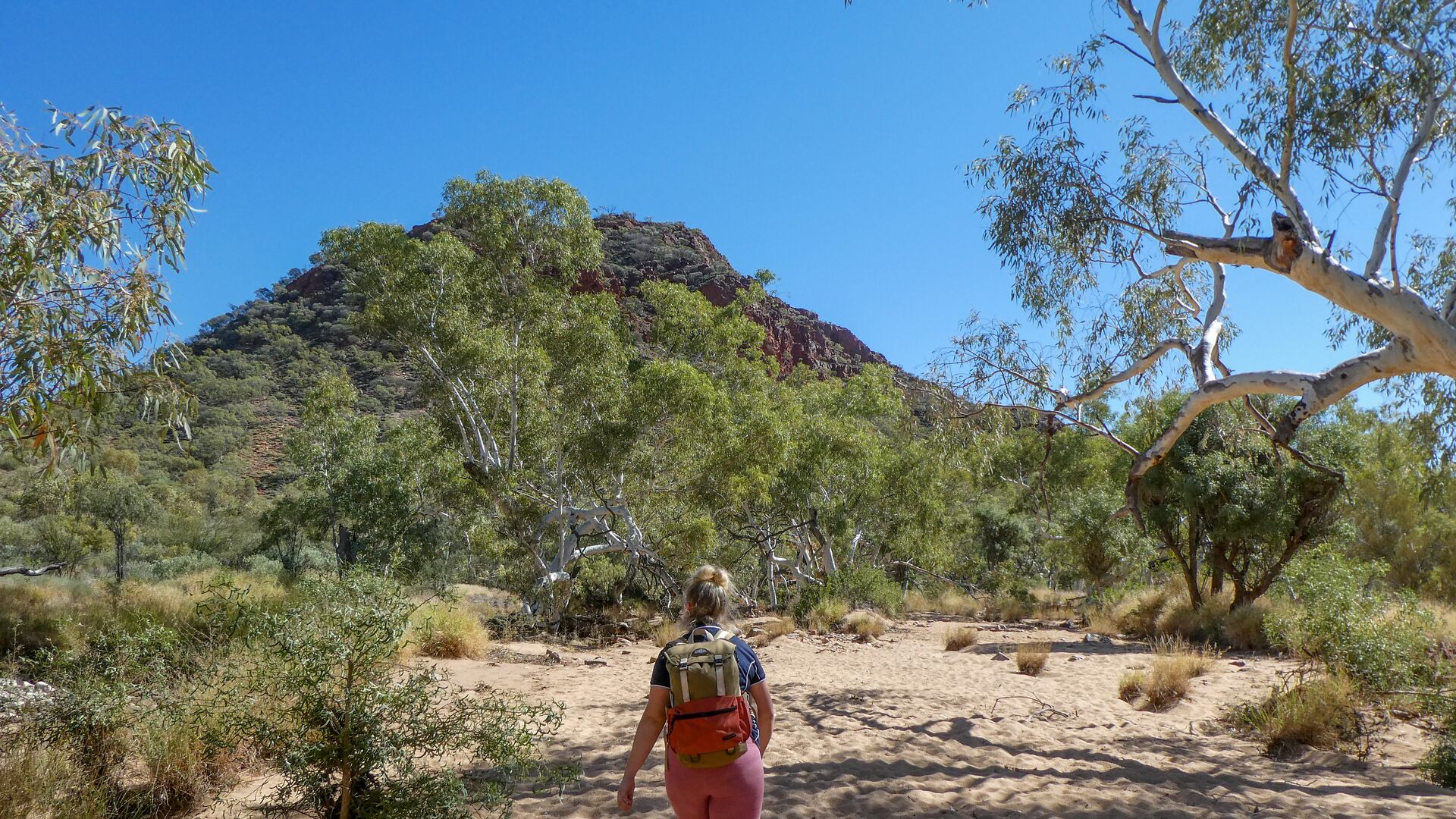 A woman walks along a sandy path towards a rise on the Larapinta Trail.