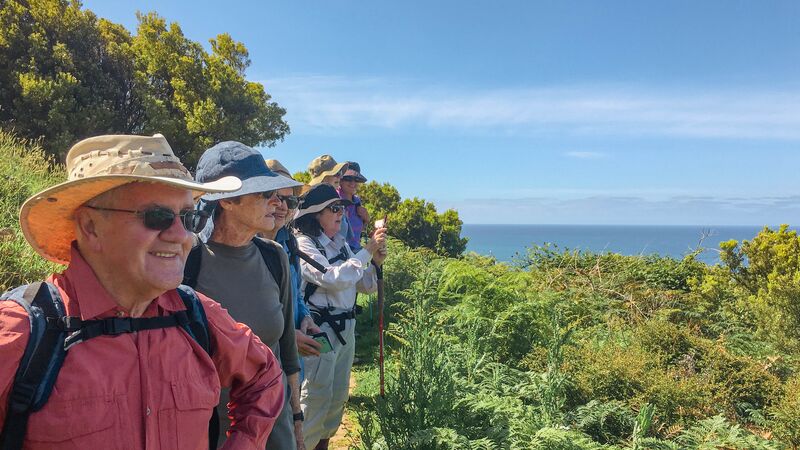 A group of hikers staring at the coastal scenery on a clear day in Victoria.