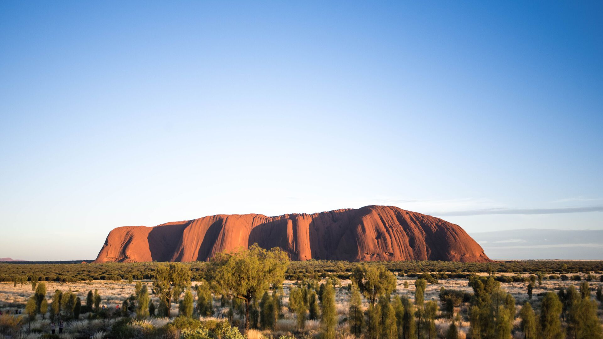 Uluru in broad daylight with blue skies and green trees