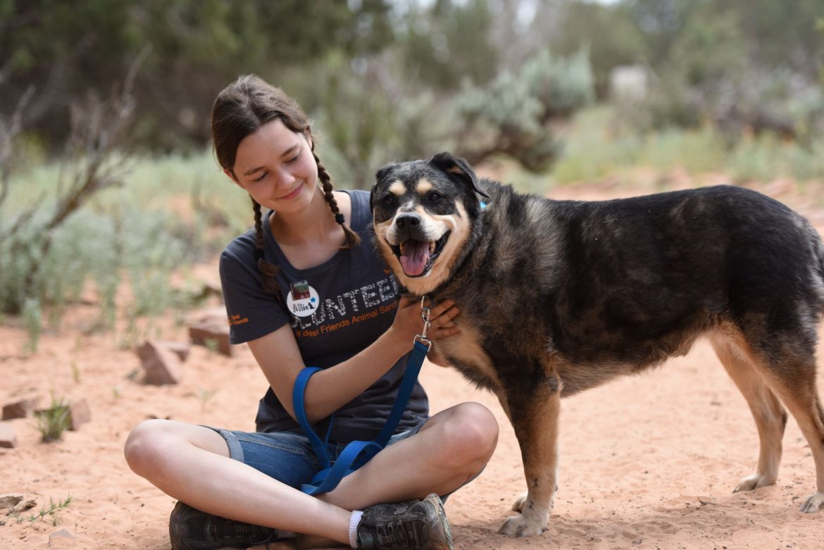 a rescue volunteer with a dog