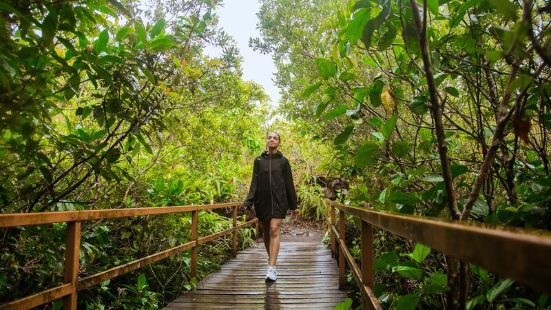 A traveller wearing a rain jacket walks along a wet bridge in one of Costa Rica's rainforests.
