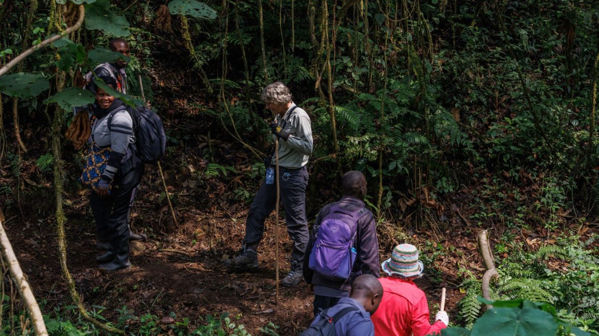 people trekking through Bwindi National Park