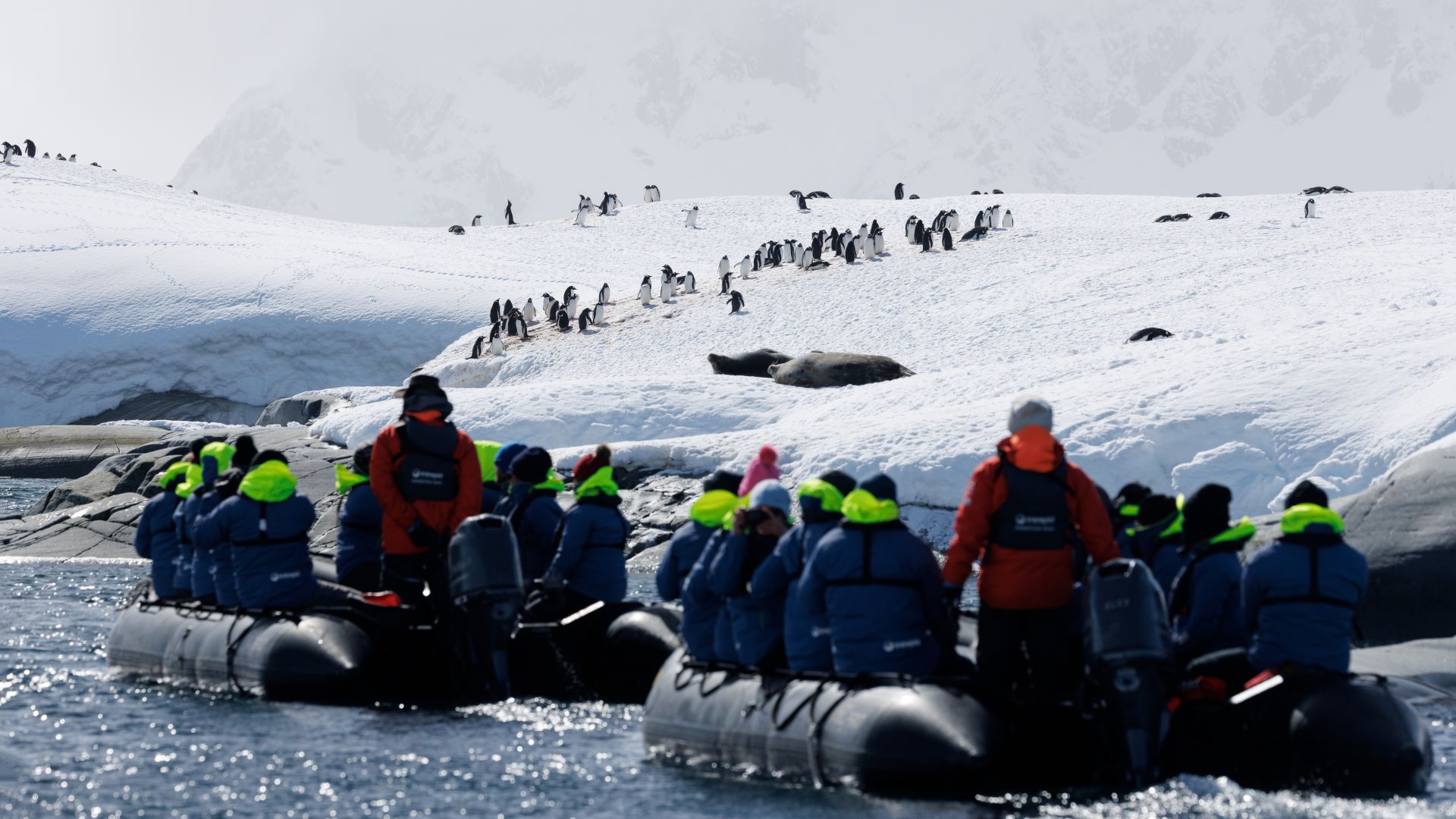 zodiacs making a landing