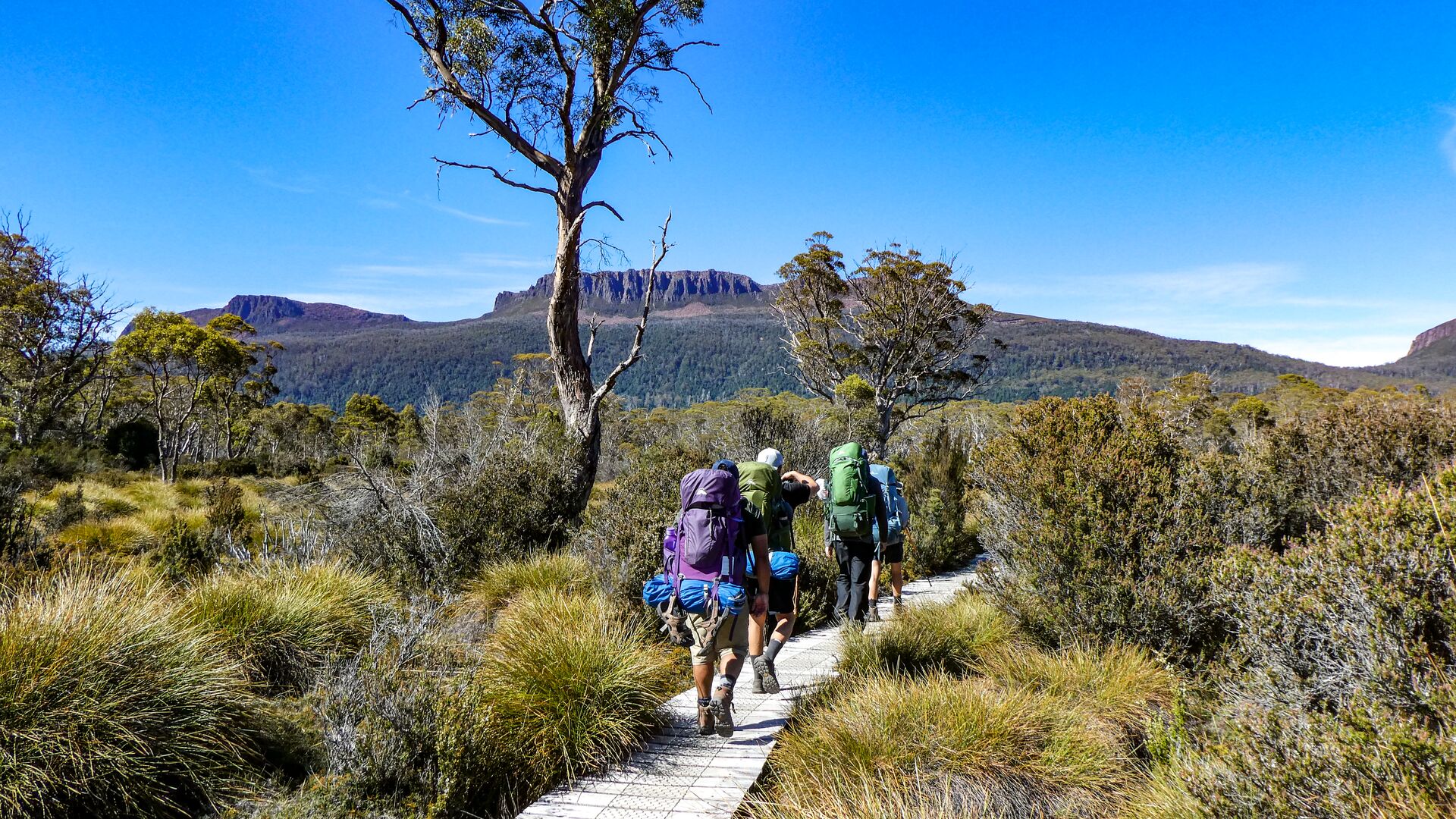 A group of hikers in Tasmania's Cradle Mountain National Park
