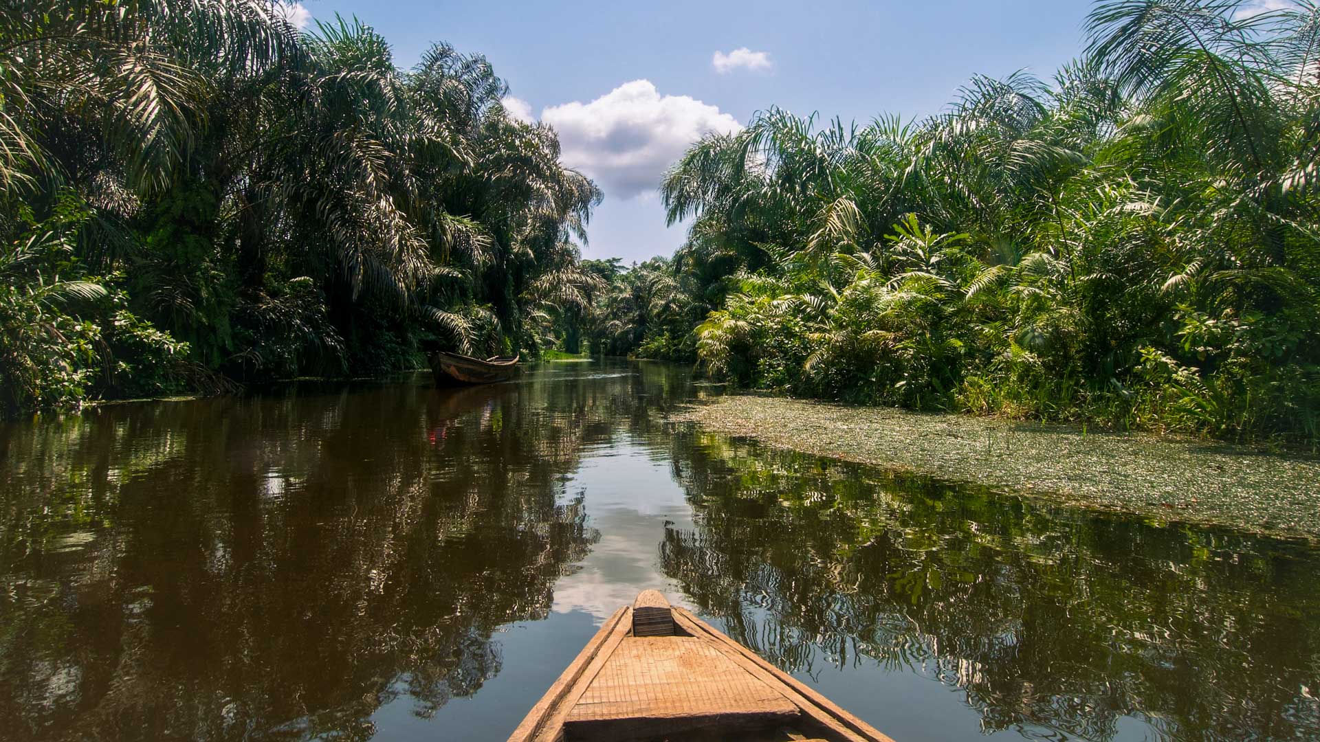 A canoe gliding along a quiet passage of the Black River in Benin