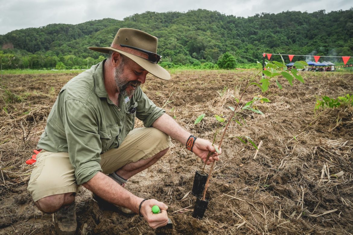 Man planting a tree on reclaimed Daintree Forest land