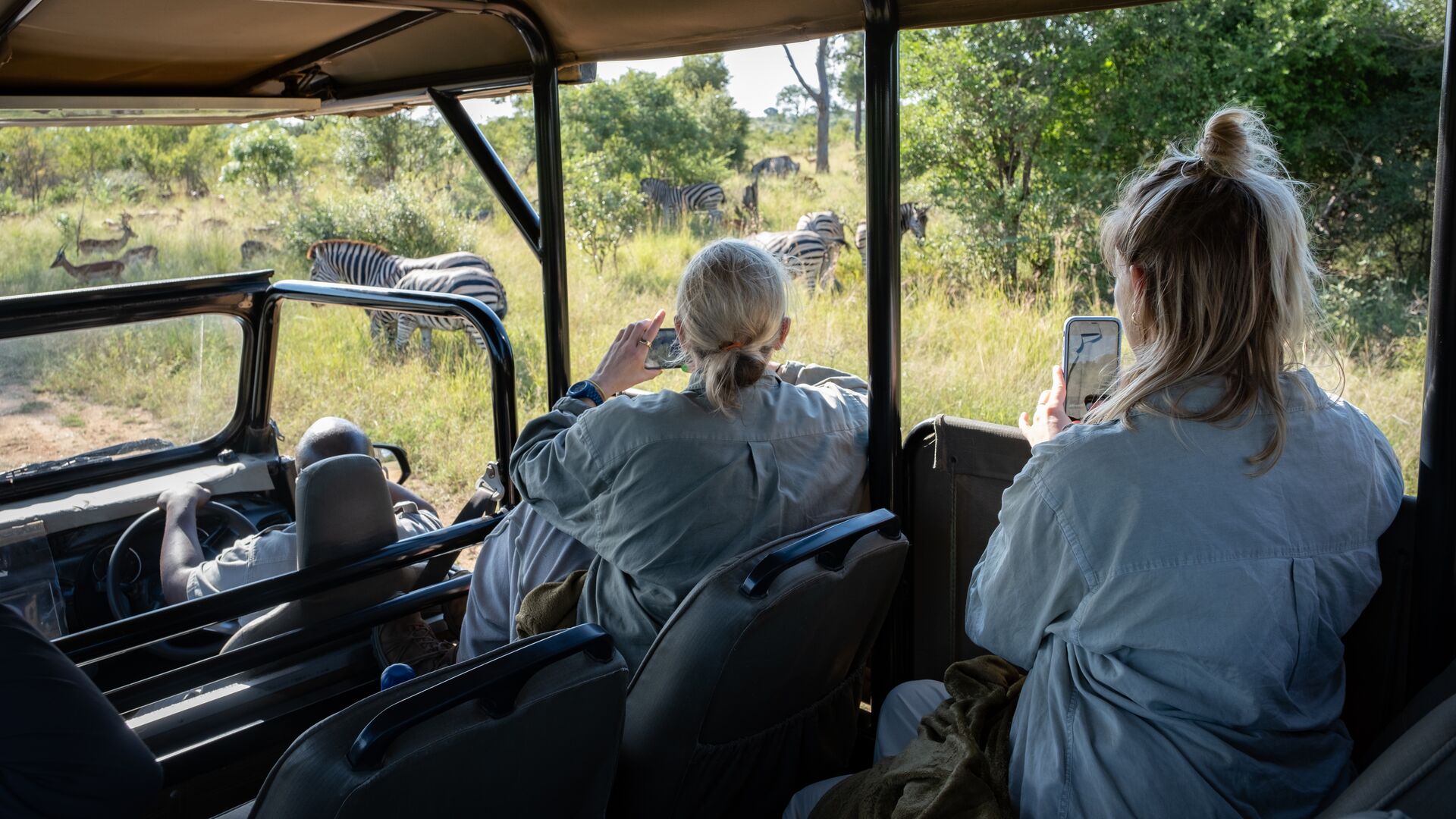 Two women snap photos of zebras from their safari vehicle in Southern Africa.