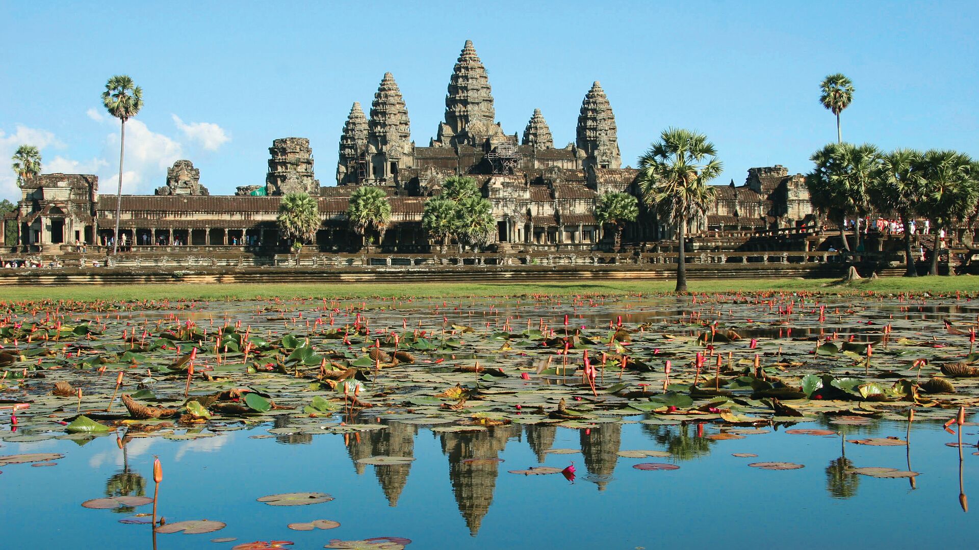 Angkor Wat in the sunshine, reflected in a lily-pad-studded pool