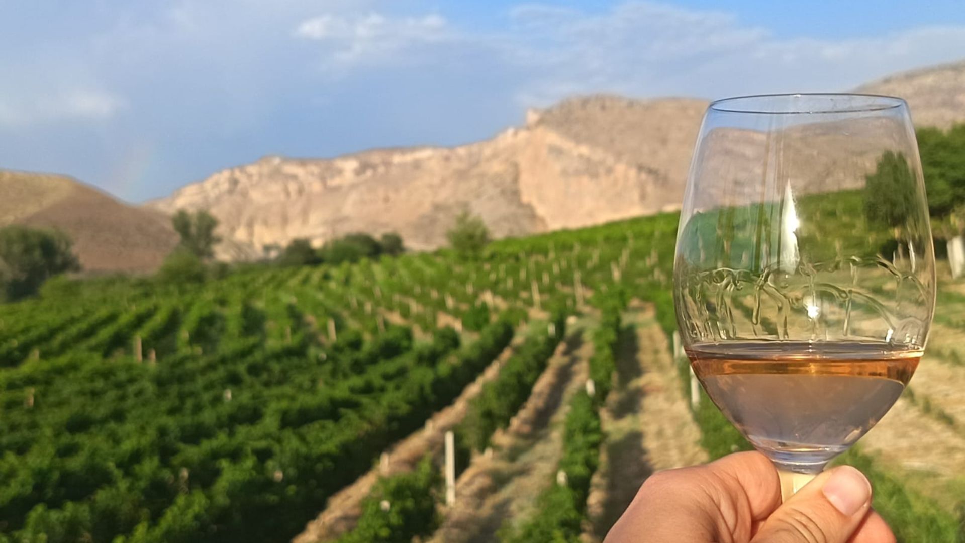 The writer found group solidarity in Armenia while dealing with her dad's health back home. 