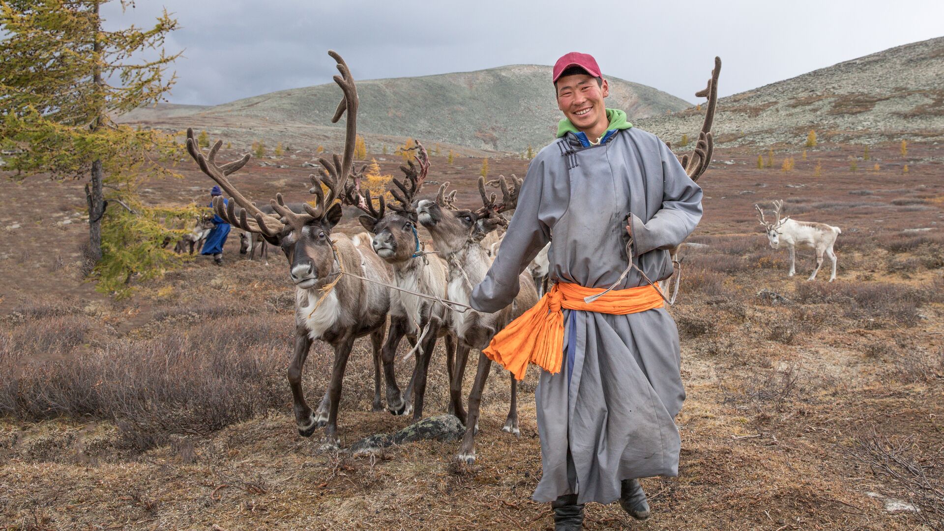 Stay with reindeer herders on Intrepid's Mongolia Expedition: Reindeer Herders adventure.