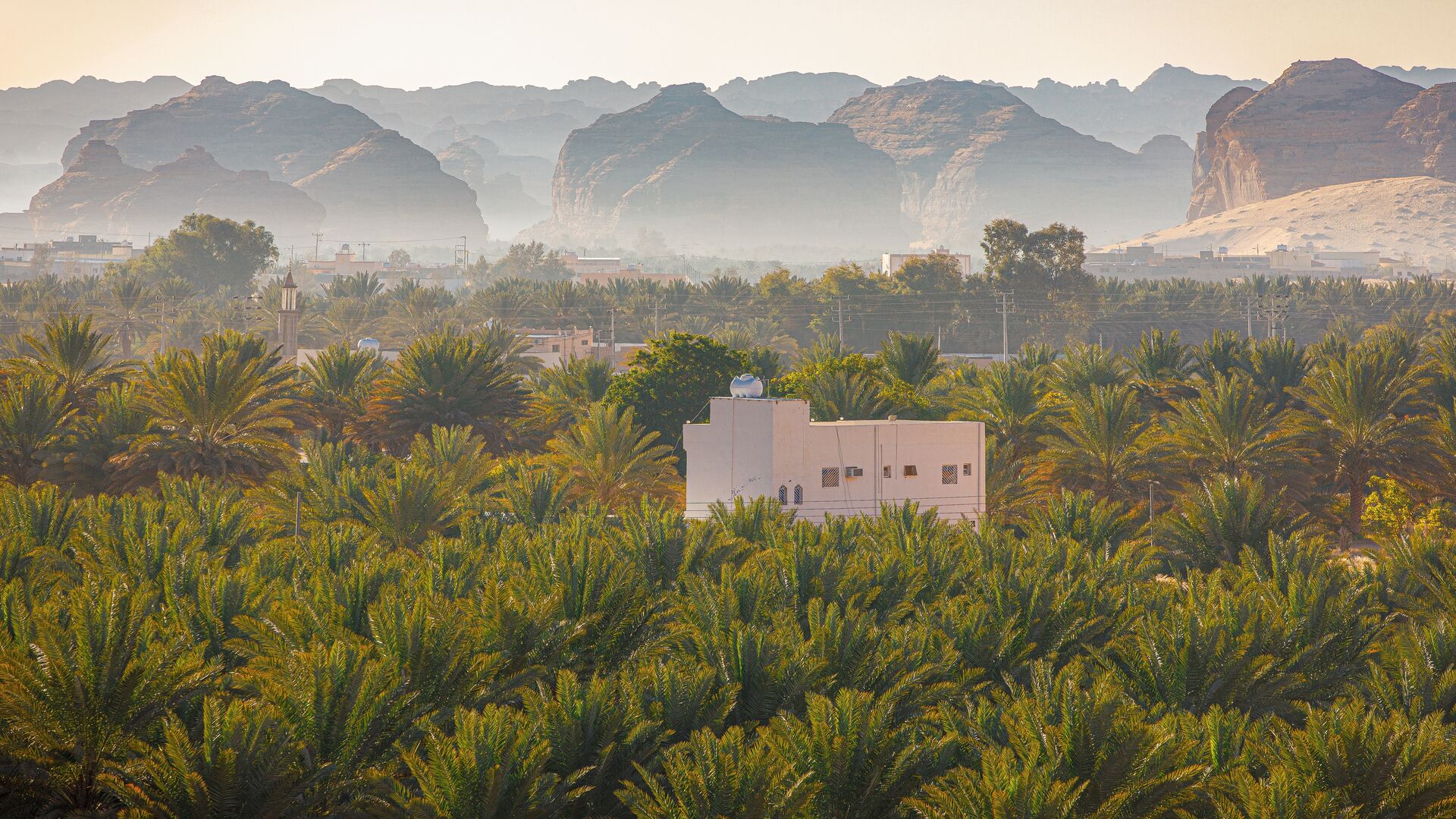 Stay on a working date farm in the reawakened ancient desert oasis of AlUla, Saudi Arabia.