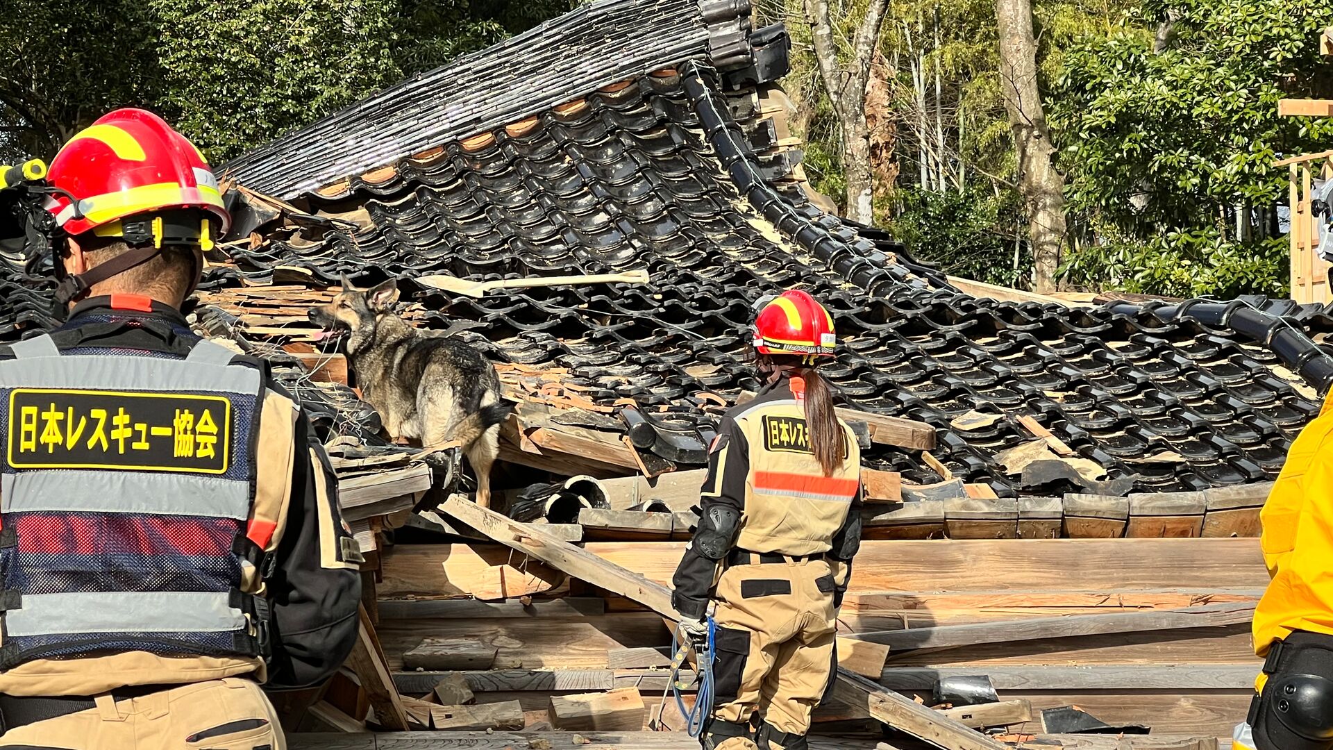 The Intrepid Foundation x Japan Rescue Association partnership has raised AU$25,000 in one year. 