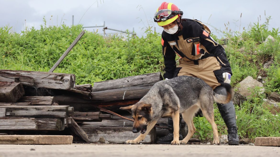 Intrepid Foundation partner, the Japan Rescue Foundation.