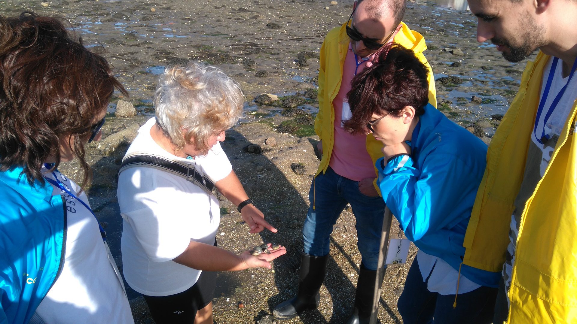 The fishing village of Cambados, Galicia. 