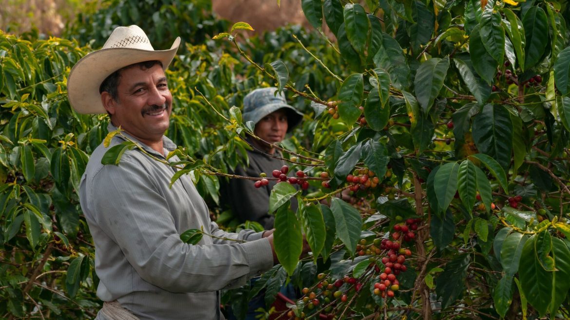 Farmers in El Salvador.
