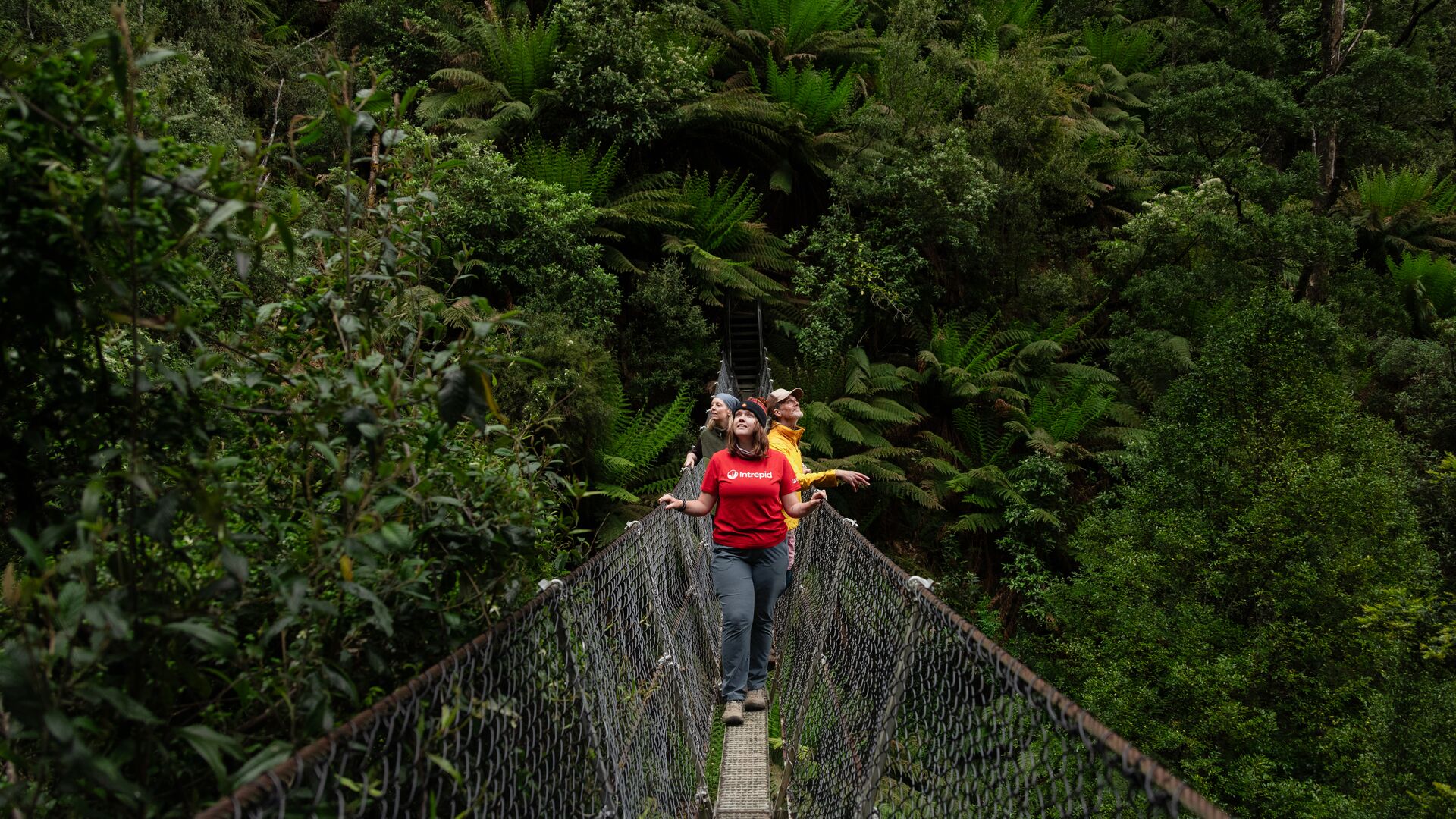 An Intrepid group cross a bridge deep in a green forest