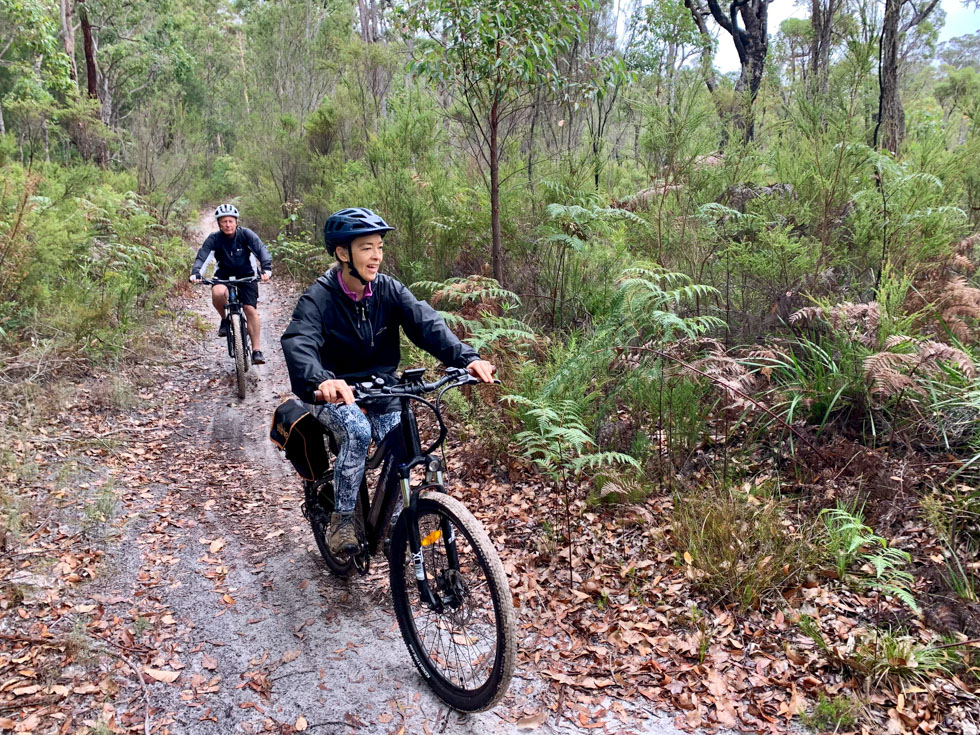 Through the rainforests on the Munda Biddi Trail in Western Australia