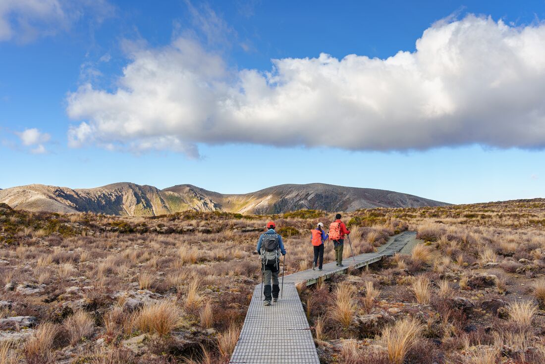 Group of travellers hiking along the track in the Tongariro Alpine Crossing, with mountainscape in view