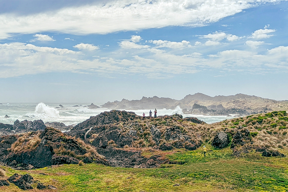 Travellers stand at the edge of a prominatory coastline on the Tarkine Coast in Tasmania