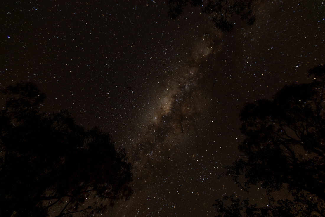 Milky way in the Western Australia sky seen at night in the Bungle Bungles safari camp