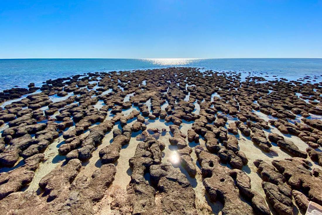 Hamelin Pool Nature Reserve in Shark Bay, Western Australia