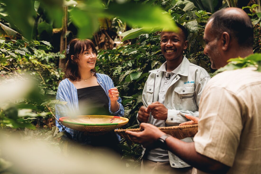 Learning more about Tanzanian coffee while collecting coffee beans in Karatu