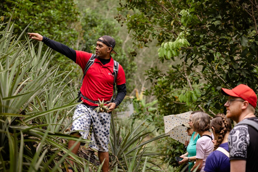 Intrepid leader gives nature talk near Kota Kinabalu in northern Borneo
