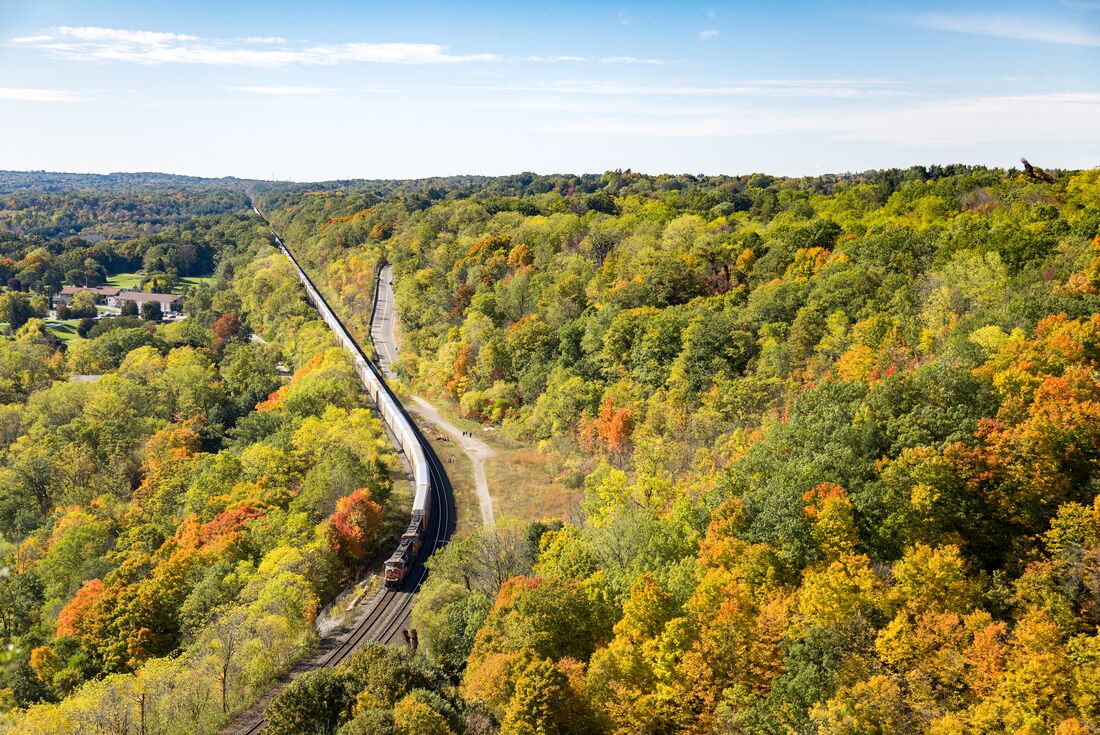 Passenger train creeps through the forested countryside of Ontario