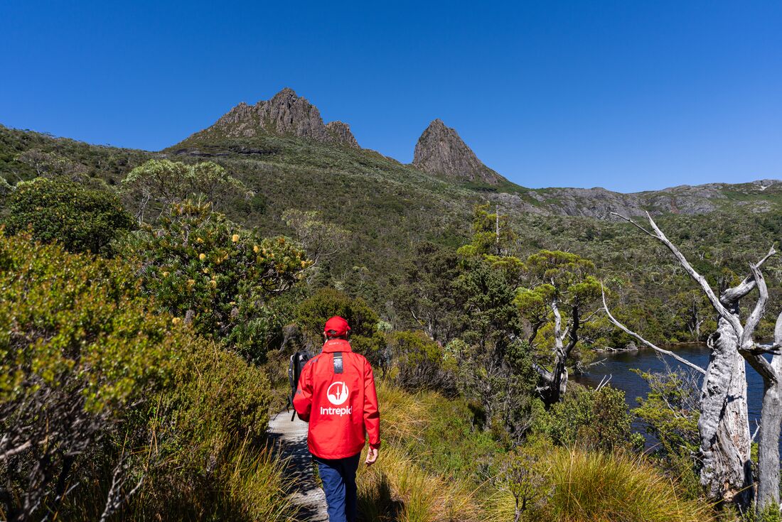 Back of leader in red Intrepid jackett on Dove Lake Cradle Mountain hike
