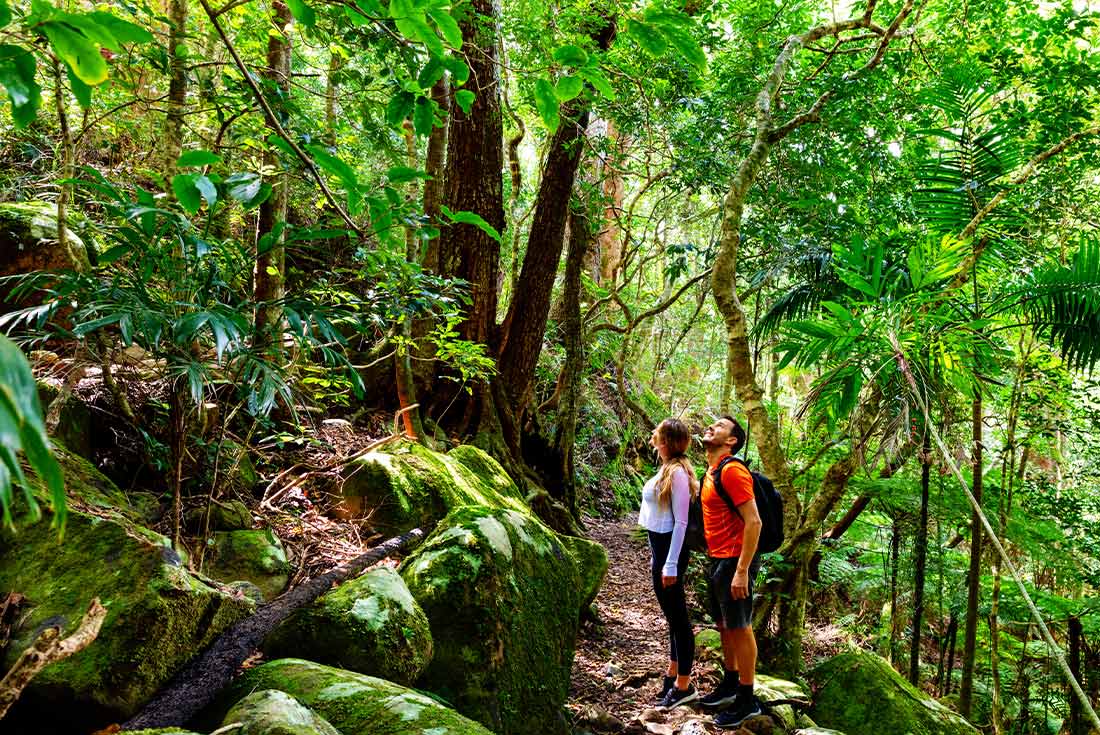 Couple exploring in Lamington NP, Queensland, Australia