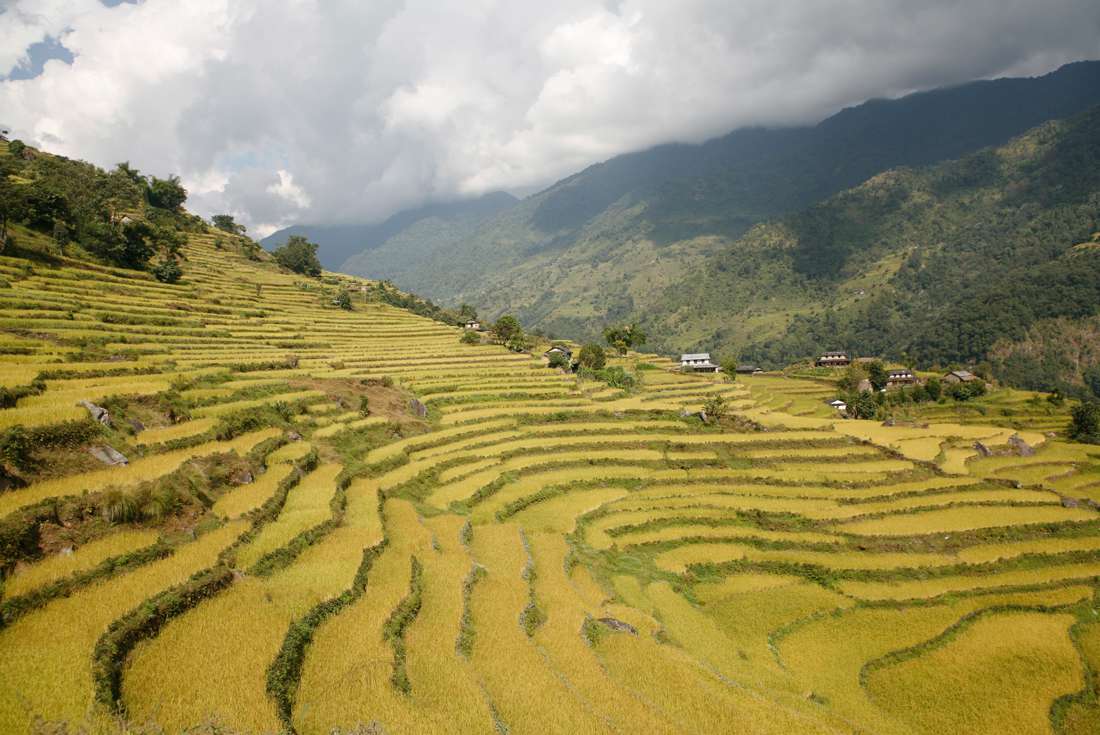 nepal himalayas khumbu kala pattar mountains snowBhaktapu rcice-Paddy.jpg