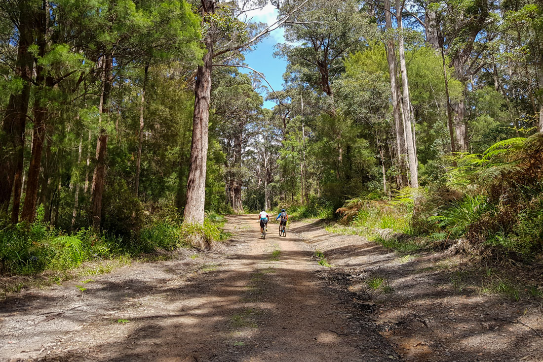 The scale of Western Australia's bush in with two cyclists disappearing into the distance