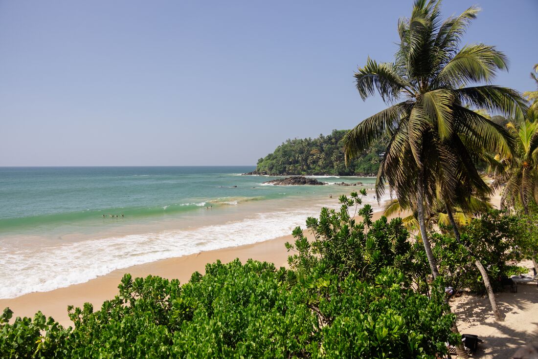  Sand, palm trees and blue sky at the Beach in Mirissa, Sri Lanka