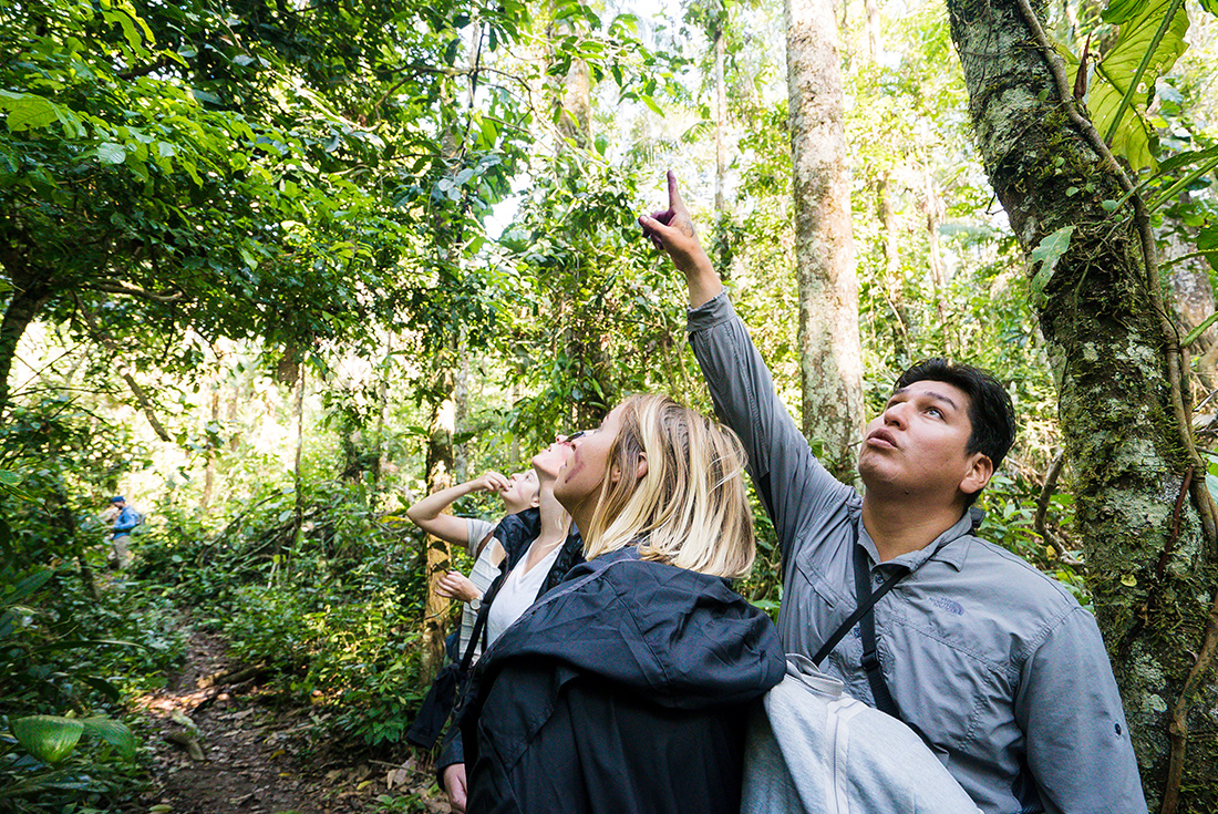 GSPR-peru-highlights-amazon-jungle-guide-hike
