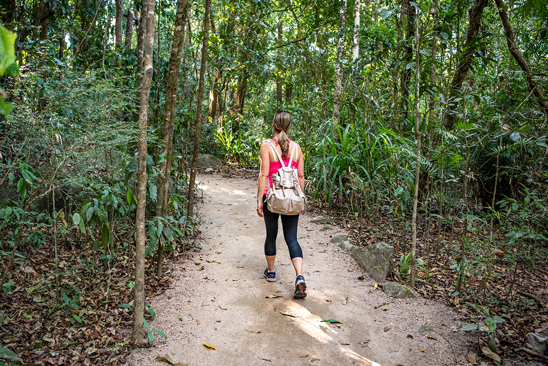 Woman walking on path through rainforest in Mossman Gorge