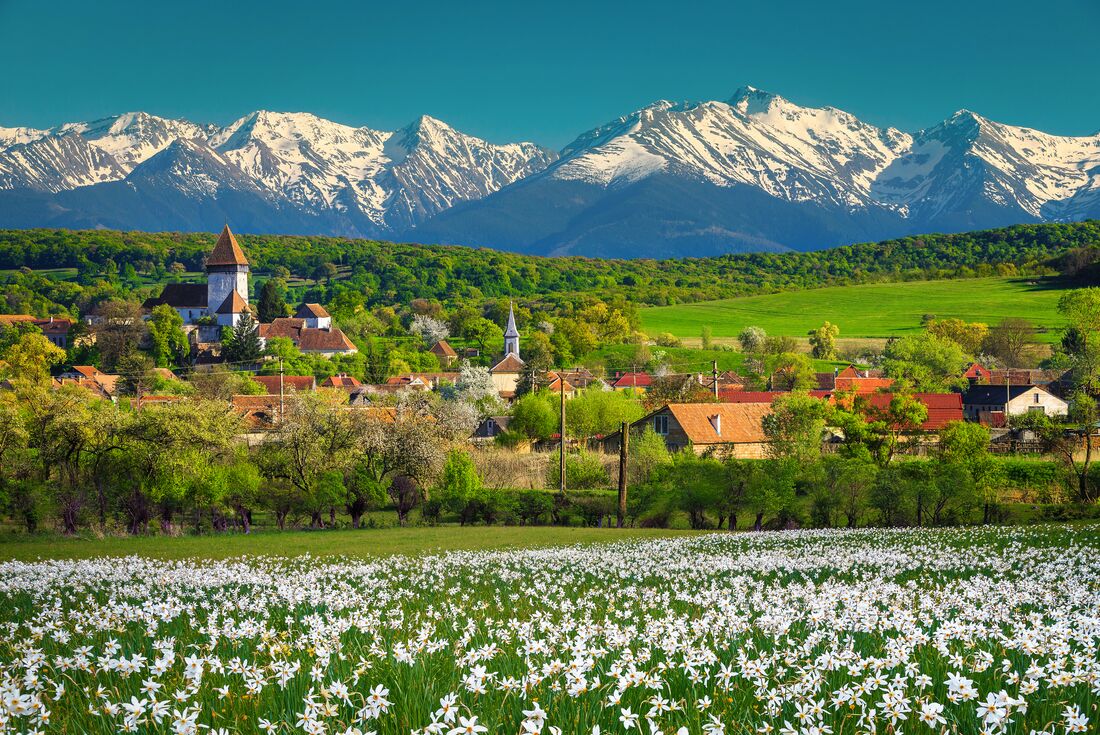 A meadow and mountains frame Fagaras village in the Romanian countryside
