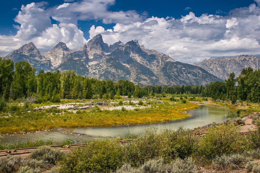 SASY - Grand Teton National Park landscape and greenery