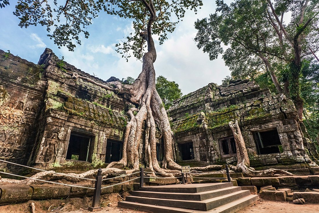 The forest infested ruins of Ta Prohm in Siem Reap, Cambodia as part of an Intrepid Travel tour
