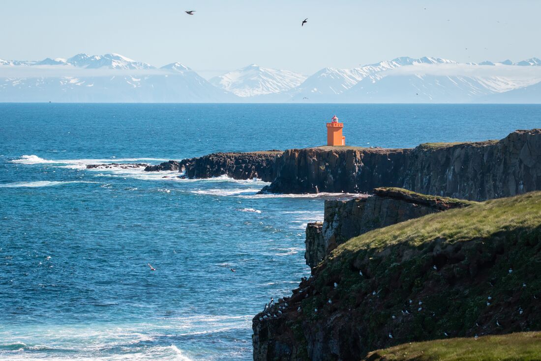 The incredible view from Grimsey Island of puffin colonies, bright lighthouses and the towering mountains of Iceland's coast
