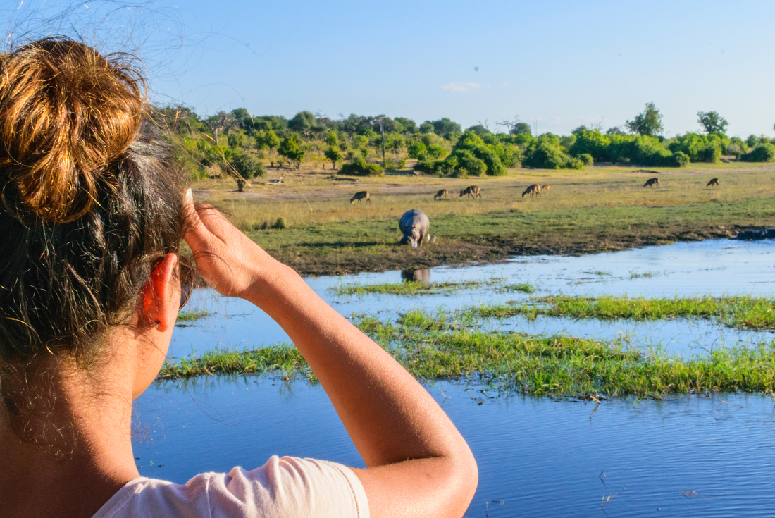 Chobe National Park, Botswana